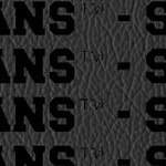 michigan state spartans