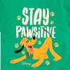 Boys' - Disney - Cats & Dogs Short Sleeve Graphic T-Shirt - 2 of 4