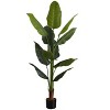 Artificial Plant, 59" Tall, Strelitzia Tree, Indoor, Faux, Fake, Floor, Greenery, Potted, Real Touch, Decorative, Green Leaves, Black Pot - 2 of 4