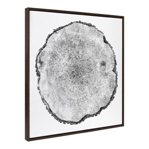 Kate and Laurel Sylvie Tree Rings Framed Canvas by Emiko and Mark Franzen of F2Images, 30x30, Walnut Brown - 1 of 4