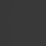 stainless steel color