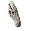 Swim Central 20.5" Crocodile Head with Baby Crocodile Floating Pool Reptile Figure - Brown - 3 of 3