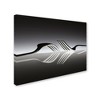 Wieteke De Kogel 'Opposites' Canvas Art - 2 of 3