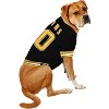 NHL Boston Bruins Pets Jersey - image 4 of 4