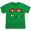 Teenage Mutant Ninja Turtles Raphael Angry Kids T Shirt For Youth, Kelly Green - 2 of 4