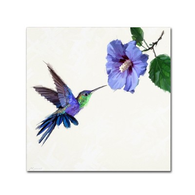 Humming Bird Jewel-Toned Canvas Art, 35" x 35"