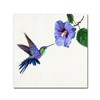 Trademark Fine Art -The Macneil Studio 'Humming Bird' Canvas Art - image 2 of 3