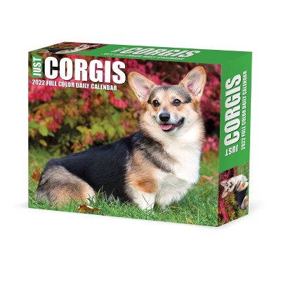 2022 Box Calendar Just Corgis - Willow Creek Press