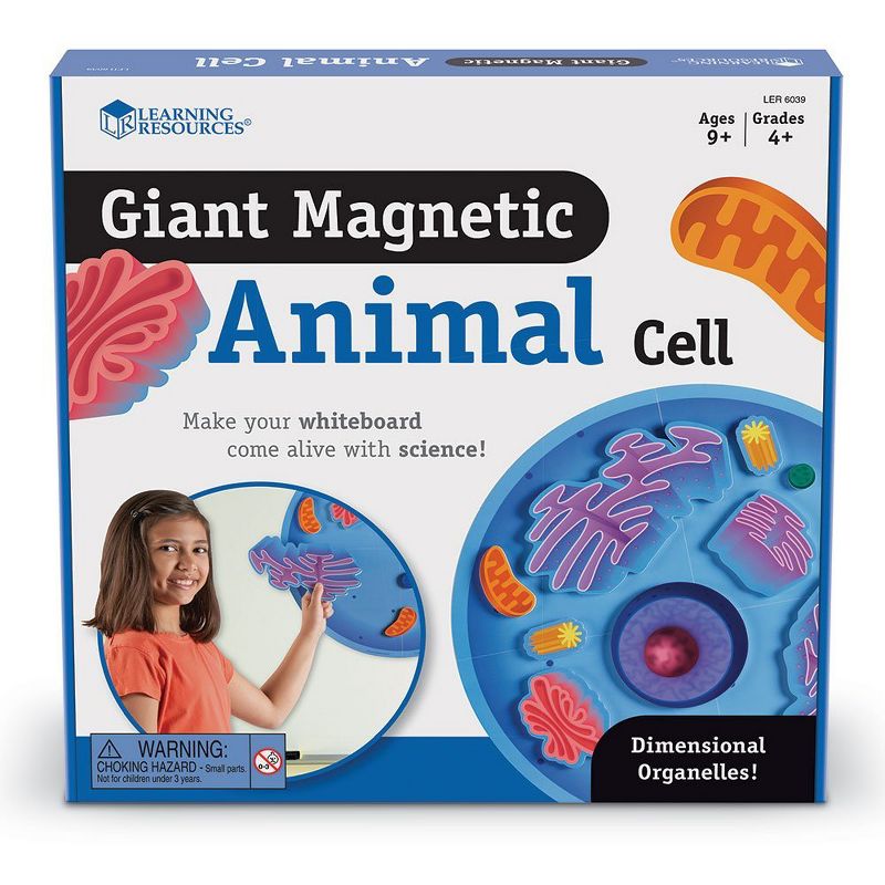 Learning Resources Giant Magnetic Animal Cell, 18 Piece Set, Ages 5+, 3 of 5