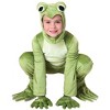 HalloweenCostumes.com Child Deluxe Frog Costume - image 3 of 3