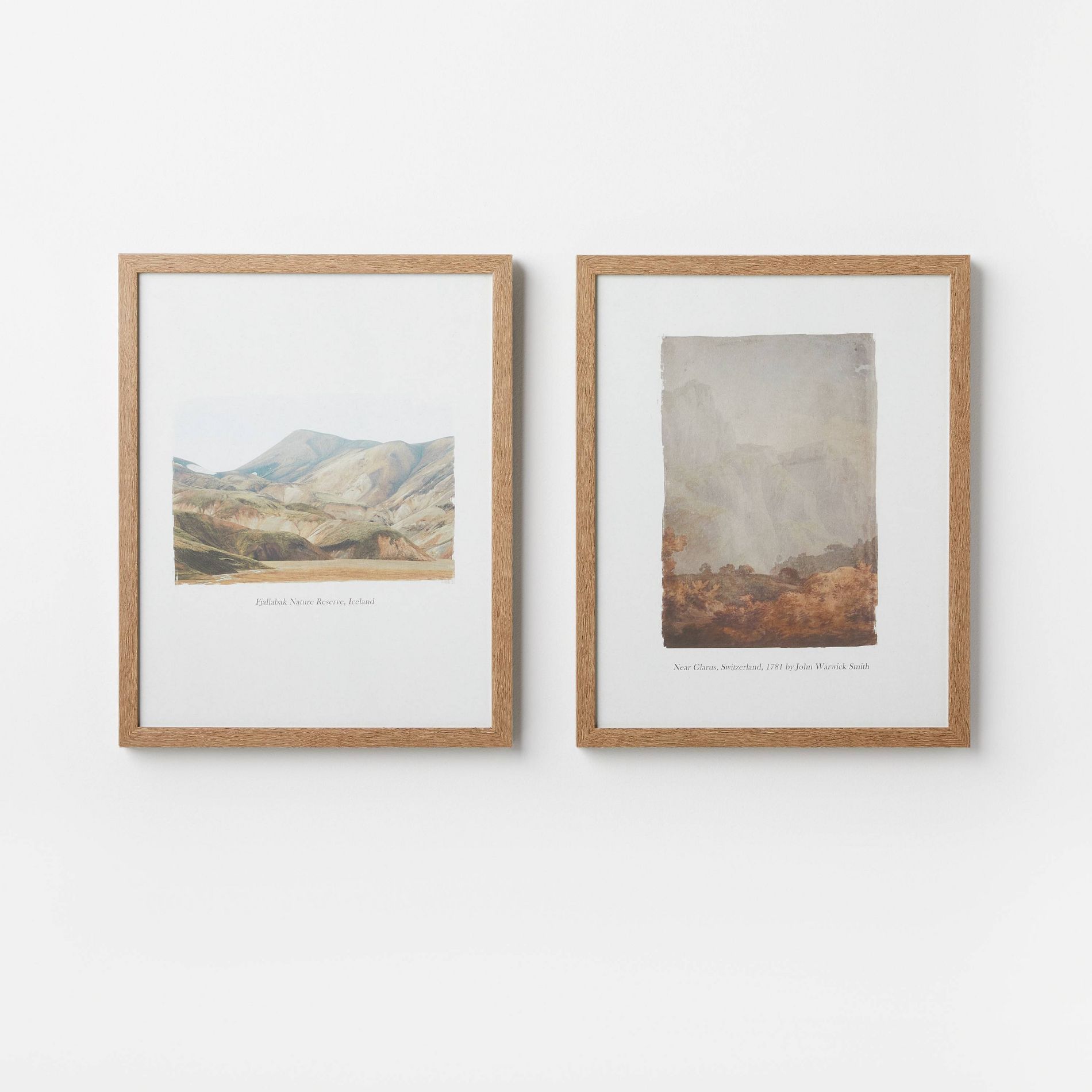 (Set of 2) 16" x 20" Glass Textbook Framed Prints - Threshold™ designed with Studio McGee: Traditional Wall Art, Polystyrene Frame