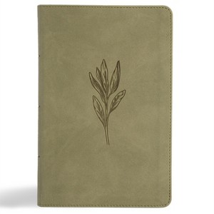 NASB Large Print Personal Size Reference Bible, Sage Suedesoft Leathertouch, Indexed - by  Holman Bible Publishers (Leather Bound) - 1 of 1