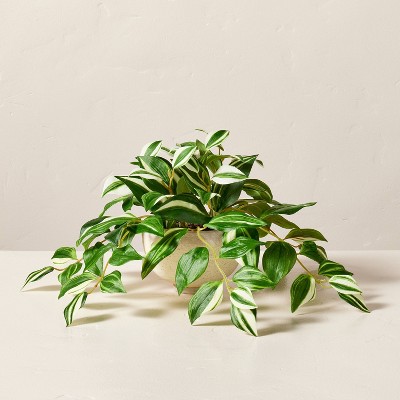 Artificial Plants & Greenery for Home Decor: Target