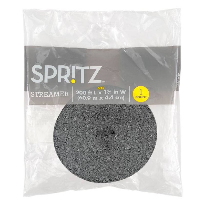 Crepe Streamer Silver - Spritz&#8482;, 3 of 4