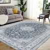 Acekool Vintage Floral Rug - Non Slip Low Pile Indoor Area Rug for Living Room, Bedroom & Dining Room - 2 of 4