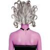 HalloweenCostumes.com One Size Fits Most Women Deluxe Wicked Sea Witch Wig for Women, Gray/Gray - 4 of 4