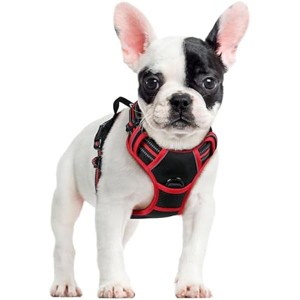 rabbitgoo Dog Harness No Pull with 2 Leash Clips, Oxford No Choke Pet Vest with Easy Control Handle for Small Dogs, Black & Red, S - 1 of 1
