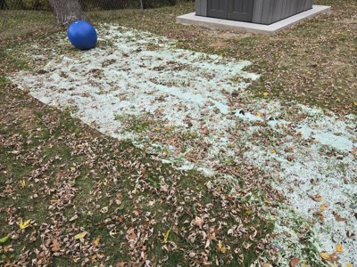 Guest review image 1 of 5, zoom in