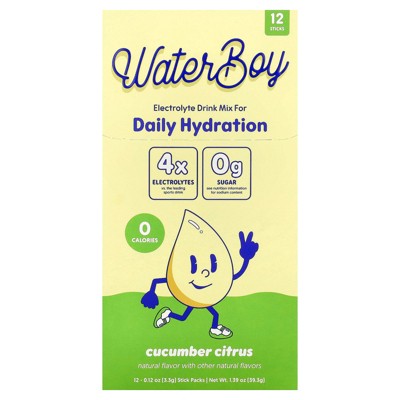 Waterboy Daily Hydration, Electrolyte Drink Mix, Cucumber Citrus, 12 Stick Packs, 0.12 oz (3.3 g) Each