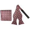 Men's Checkered 2.75" x 4.75" Adjustable 16" - 20" Freestyle Self Tie with Hankie Set - 2 of 4