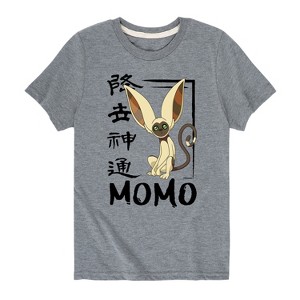 Boys' - Avatar: The Last Airbender - Momo Cute Short Sleeve Graphic T-Shirt - 1 of 4