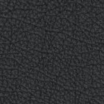 washington commanders