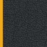 washington commanders