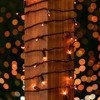 Novelty Lights 50 Light LED Christmas Mini Light Set (Black Wire, 25 Feet) - 3 of 4