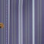 dark purple stripe