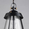Maxim Lighting Mariner 2 - Light Pendant in  Black/Antique Brass - 3 of 4
