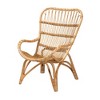 bali & pari Earvin Modern Bohemian Natural Brown Rattan Armchair - 2 of 4
