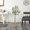 Nearly Natural 52-in Olive Artificial Tree in Country White Planter - 3 of 4