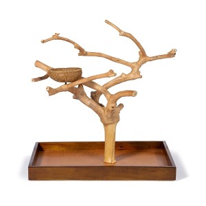 Prevue Pet Products Coffeawood Java Tree Minis Medium Table Top Playstand Perch, Natural Brown Wood 22634 - 1 of 4