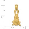 Black Bow Jewelry 14k Yellow Gold Satin and Diamond Cut Rabbit Pendant, 10mm - 4 of 4