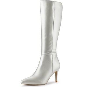 BLISSFUL STEP Women's Halloween Pointed Toe Side Zipper Stiletto Heel Knee High Boots - 1 of 4