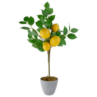 Northlight 20inch Artificial Potted Mini Lemon Tree Target