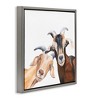 Stupell Industries Happy Goat Smiling Animals Floating Frame Canvas Art, Gray, 25" x 25" - 2 of 4
