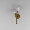 ET2 Lighting Blossom 2 - Light Wall Light in  Natural Aged Brass - 4 of 4