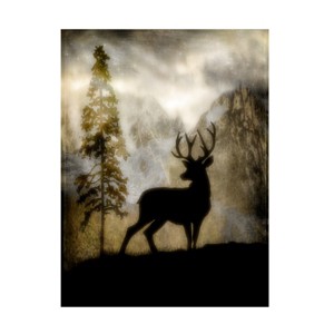 Trademark Fine Art - LightBoxJournal Mystic Deer Matted Framed Art - 1 of 4