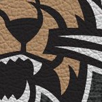 ohio university bobcats