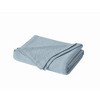Royal Velvet Twin/Twin XL Dream Cotton Blanket Blue - 3 of 4