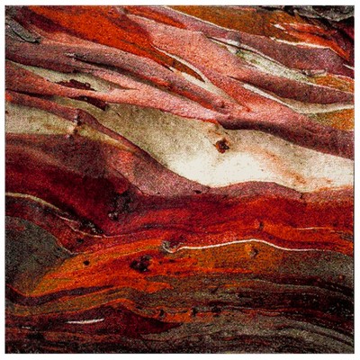 red/multi