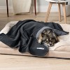 PetAmi Waterproof Dog Blanket, Pet Cat Puppy Couch Cover Protection, Fleece Washable Reversible Soft Plush Throw - 2 of 4