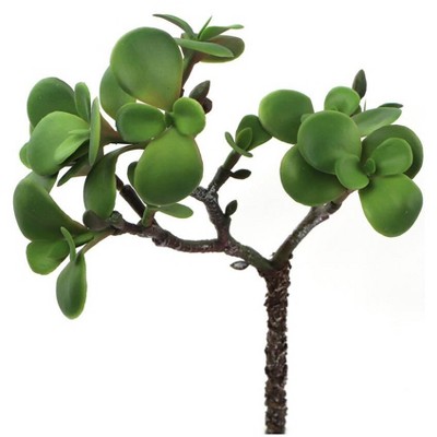 Floral Home 11" Portulacaria Afra Lifelike Succulent - 12-Piece
