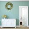 Luupathcy 20 inch Green Eucalyptus Wreath with Berry, for Home Wall Porch Decoration - 4 of 4
