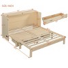 Foldable Queen Size Murphy Bed with Rattan Doors,Cabinet Bed with USB Port and Drawers for Small Spaces-The Pop Home - 4 of 4