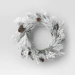22" Flocked Mixed Greenery with Pinecones Artificial Christmas Wreath - Wondershop™
