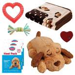 Snuggle Puppy Comfortable Beginnings New Puppy Starter Kit - Neutral - 4ct