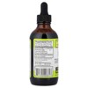Whole World Botanicals Royal Chanca Piedra Kidney-Bladder Support, 4 oz (118 ml) - 2 of 3
