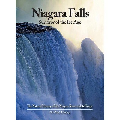 Niagara Falls - by  Paul a Young (Hardcover)